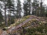 Kiilahännänkallio