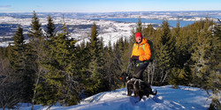Hølstadkollen