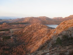 Småkrokane