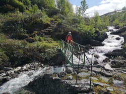 Sippelhaugselvi bru