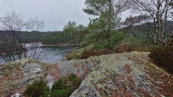 Penesskjenet