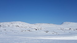 Isløyphøa