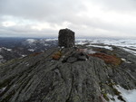 Høghei