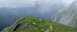 Tschenglkopf