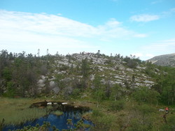 Kollirudla