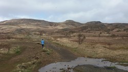 Ulfarsfell