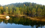 Finnefjell