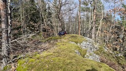 Bronåsen Øst