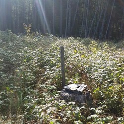 Sørumsvangen