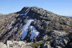 Sør for Dalaunfjellet