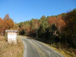 Bomveg Litlfonna