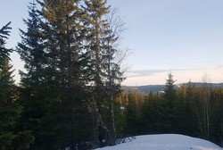 Lyholen