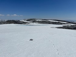 Granbostadtinden