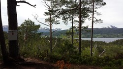 Trollhaugen