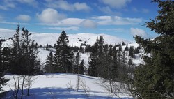Bratthallknatten