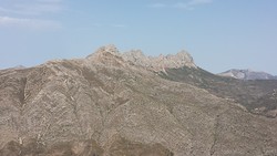 Bernia