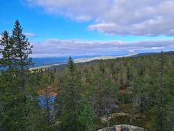Skjenåsnatten utsikt mot nord