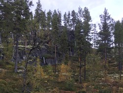 Rundpiken