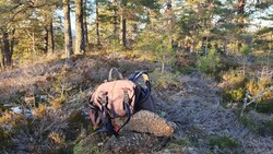 St. Hansås