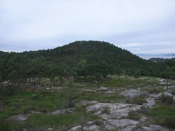 Bjøro