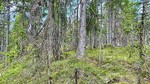 Nannestads mest øde sted