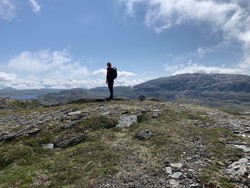 Gravetjørnnuten