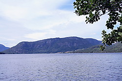 Tveitnapen
