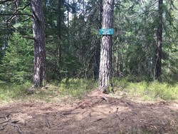 Høgåsen