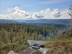 Signalhøgde
