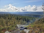 Signalhøgde
