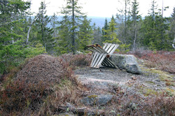 Gælnekollane