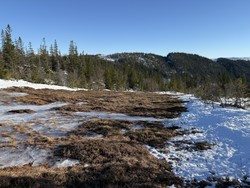 Våttåfjellet