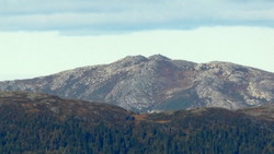 Vollaskurven