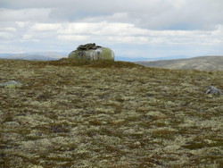 Dalbusjøhøgda