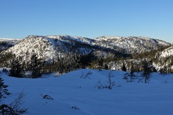Langlifjellet