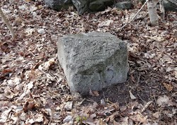 Bystein 33