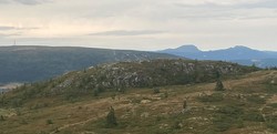 Grønlihøgda