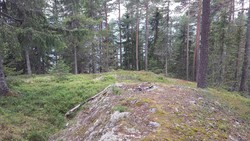 Rundhaugen