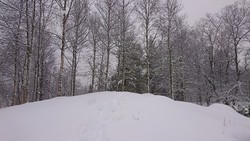 Åsen