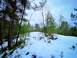Mastemyrås sør