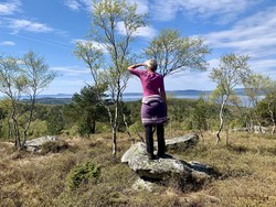 Høgstig