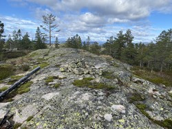 Valefjell Sørvest
