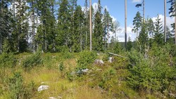 Motjernet punkt 561