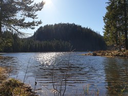 Petteråsen