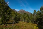 Gjømmertinden