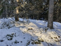 Kopperudsåsen