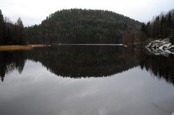Buktås