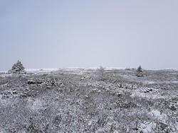 Reinehamaren sør