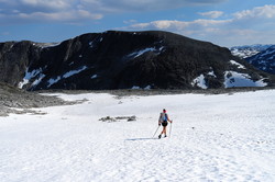 Blåbotnhalsen