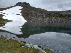 Bjørnastighornet